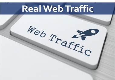 I will bring real visitors,  social direct referral organic traffic