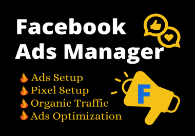I will be your Facebook ads manager and promote facebook ads campaign