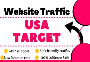 I Will Drive Unlimited USA Targeted Traffic for your website or blog site