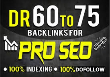 Get 10 PBN High DR 60 To 75 Homepage Permanent Posts Backlinks google ranking