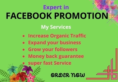 I will promote your Facebook business page or product with SEO optimize to get organic customer