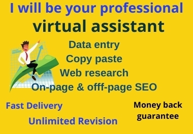 I will be your professional virtual assistant for e-commerce store,  product listing,  copy paste
