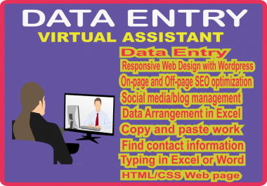 Let me be your Virtual Assistant and also handle all your Data Entry tasks