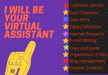 I will be your virtual assistant to save your time and money
