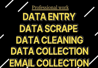 I will do all data entry jobs,  data scraping and email collection