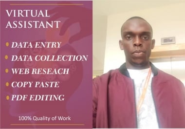 I will handle your data entry jobs in a timely fashion and prescribed format