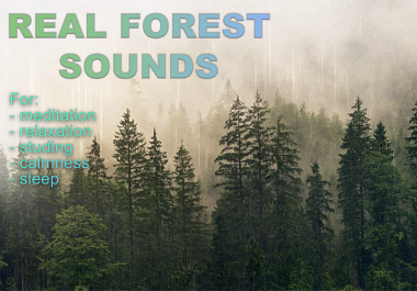 I recorded the sounds of the forest in. Stereo sounds for relaxing. 33min meditation video