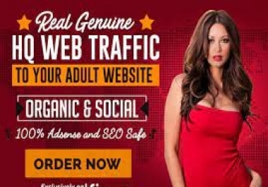 Adult Real Traffic Worldwide Google keyword From Top Adult Search engine Web Visitors