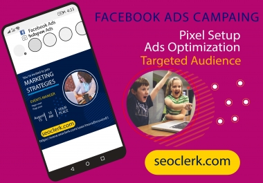 I will set up a Facebook ads campaign in the ads manager