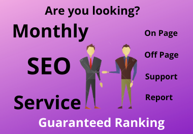 I will provide monthly off page SEO service