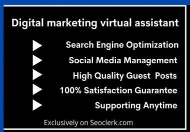 I will be your digital marketing virtual assistant professionally