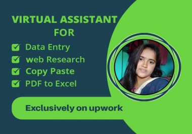 Your virtual assistant for data entry,  web research,  copy paste and PDF to excel