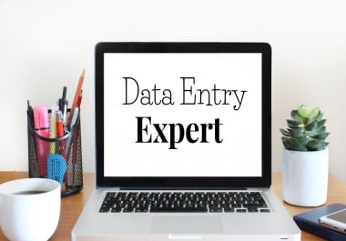 I will do data entry,  copy-paste,  web research Microsoft and excel data entry.