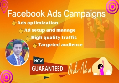 I will do your Ads Campaign and bring high Quality traffic