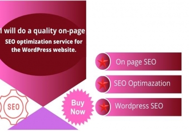 I Will on page SEO optimization service for the word press website