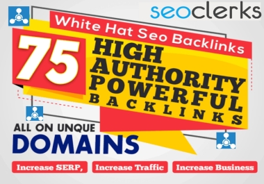 I will Manually Do 75 Profile Backlink from Unique Domain - with Latest SEO Strategy