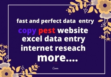 I will complete any excel data entry project