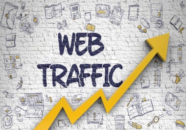 50000 Website Traffic USA from Google