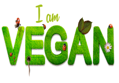 I write content about investing and SEO web marketing for major brands including Tom's of Maine,  Wal