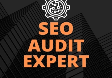 Professional SEO Audit report exclusively on seo clerks