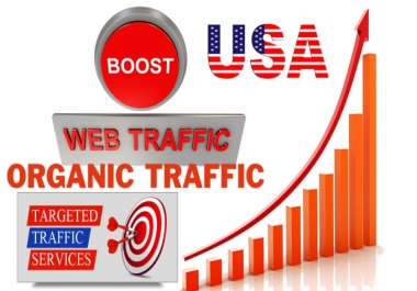 I will drive 20000 USA organic web traffic for your site