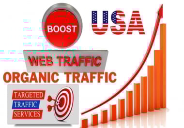 I will drive 20000 USA organic web traffic for your site