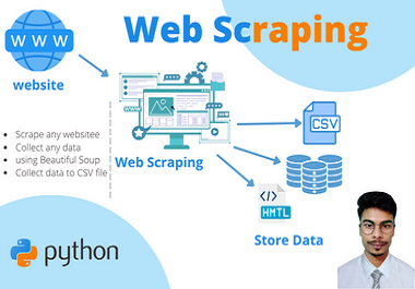 Python web Scraping with Beautiful soup collect any data any website.