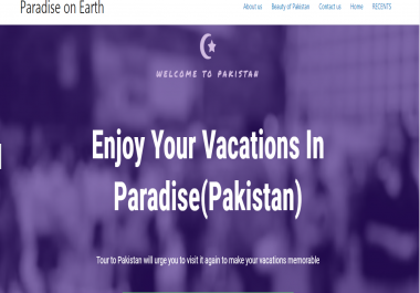 A professional WP expert. Available all times to make attractive sites in a manageable price.