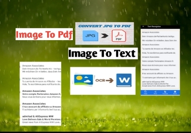 I will convert pdf to word,  pdf to excel and image to word.