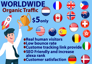Real Organic Keyword Targeted Web Traffic Daily Visitors