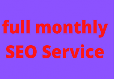 I will provide complete monthly SEO service for your website