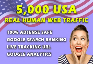 AdSense safe USA TARGETED Real Human Web Traffic By Search Engine