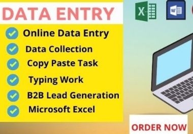 I will do virtual assistant data entry,  typing,  copy paste