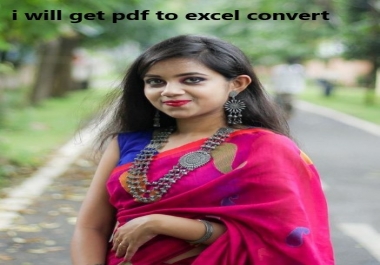 I will do PDF to excel,  and google docs data entry