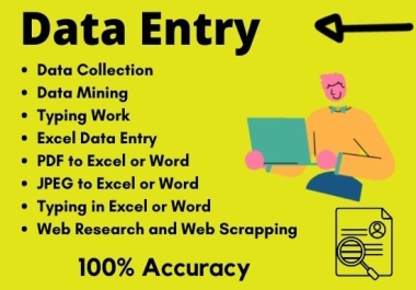 I will Be Your Data Entry for 24 hour