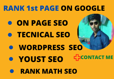I will do on page SEO and WordPress website for the technical optimization
