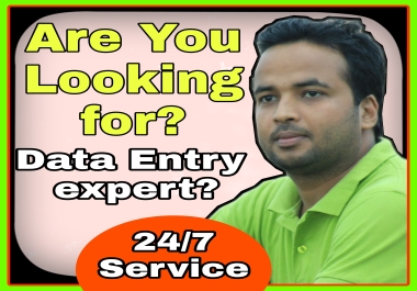 I will provide unique data entry service
