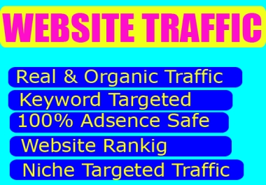 website traffic or visitors to your website