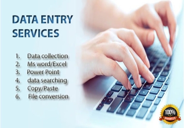 I will be your Data entry virtual assistant