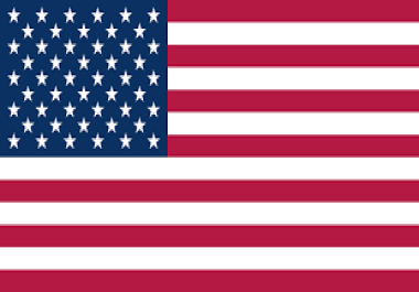 I will Drive Unlimited Targeted USA Website Traffic