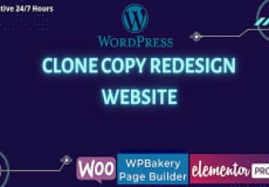 I will clone copy redesign website use elementor pro