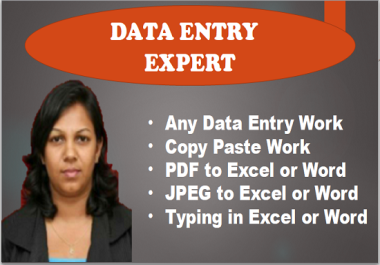 I will do excel data entry,  copy paste,  web research
