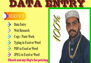 I will do fastest form filling,  data entry,  copy paste work