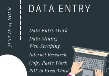 I will do fastest data entry in 24 hour and internet research
