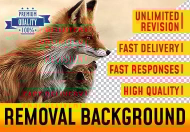 Removal Photos Background for Your Bussines