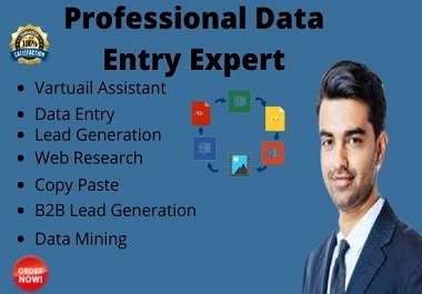 I will do fast data entry, copy paste. web research and lead generation