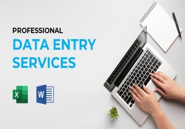 I will do your data entry,  typing,  copy paste work