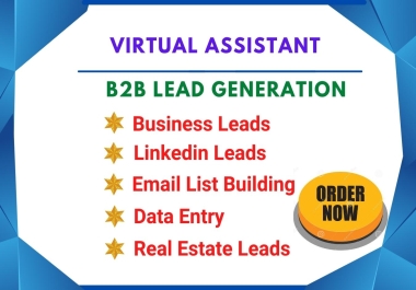 I will data entry,  copy paste,  Web research and b2b lead generation