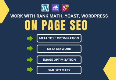 Expert Level On Page SEO Optimization for Your Website
