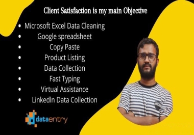 I will do expert fast excel data entry, data mining,typing, data scraping, copy paste, excel work